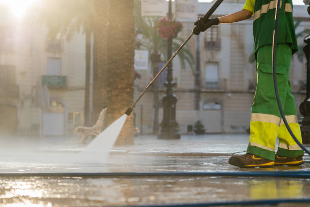 Best Roof Pressure Washing  in Fortuna Foothills, AZ